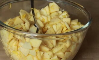 Mentre l'impasto lievita, preparate il ripieno. Sbucciare le mele e tagliarle a fettine sottili. Mettete le fette in una ciotola capiente, aggiungete il succo di limone e la scorza di limone grattugiata. Se lo si desidera, aggiungere anche l'uvetta, versare un cucchiaio di cognac. Mescolare il ripieno.